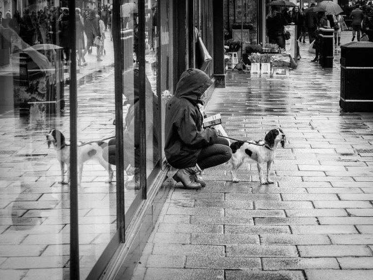 Street photo in Winchester, United Kingdom by Helen Higgs