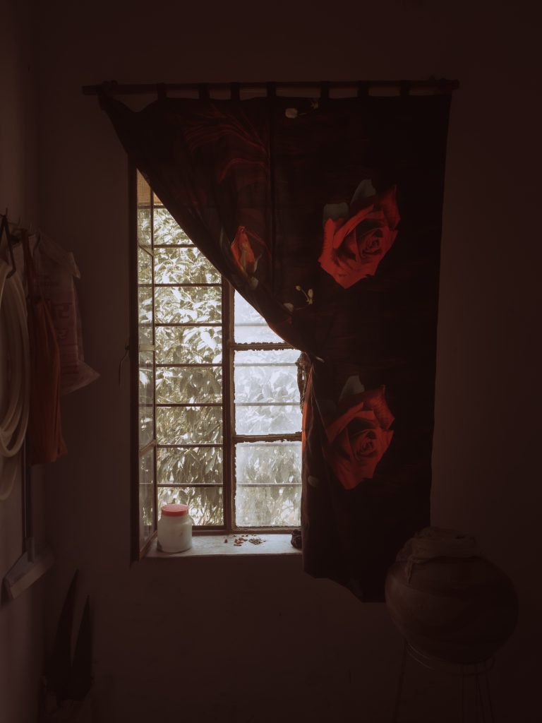 Photo by Pranjal Kasnia