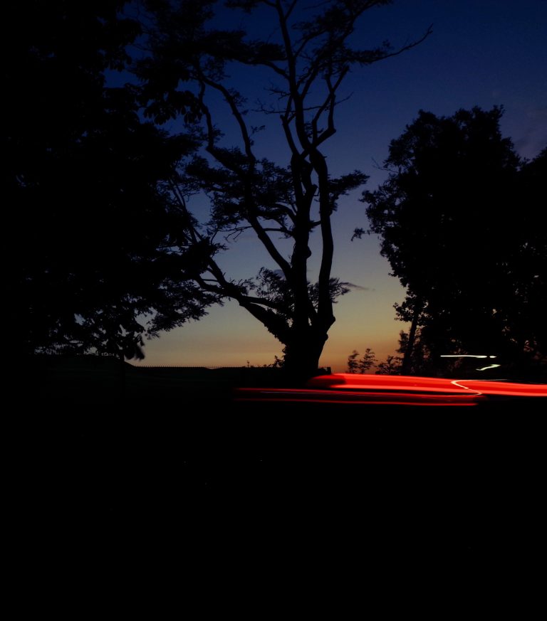 Photo by Sam Ziff