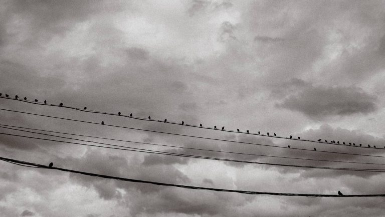 Photo by Elena Kutcalova
