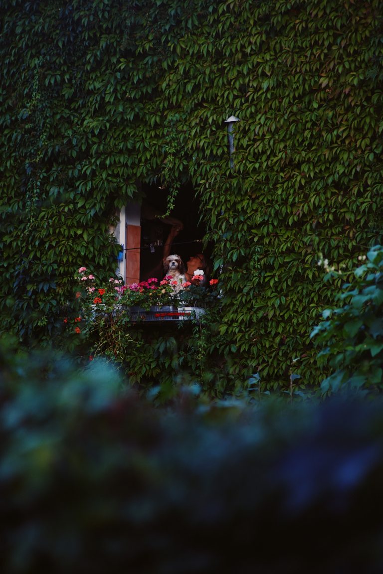 Street photo in Poland by Hasan Smadi