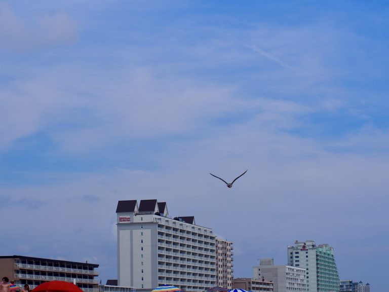 Street photo in Ocean City, United States by Rob Kleiner