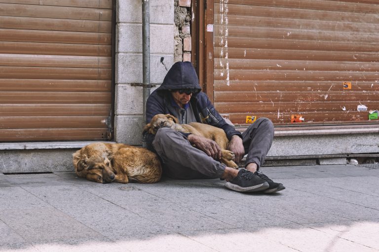 Photo by Alireza Banijani