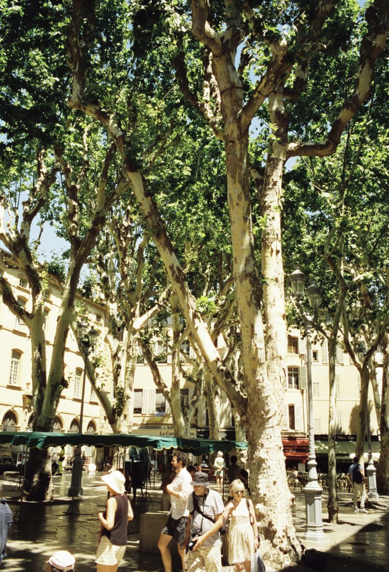 Street photo in Aix-en-Provence, France by Albert Meyer