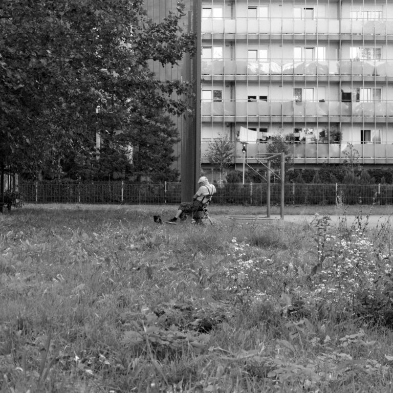 Photo by Radek Spring