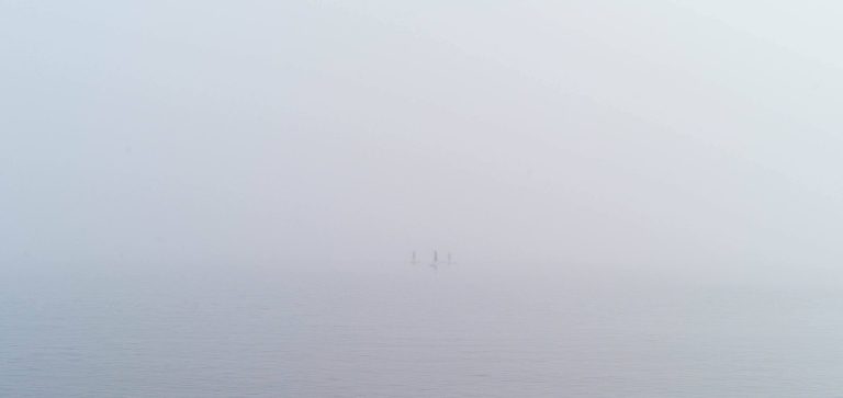 Street photo in Manly, New Zealand by Jason Evans
