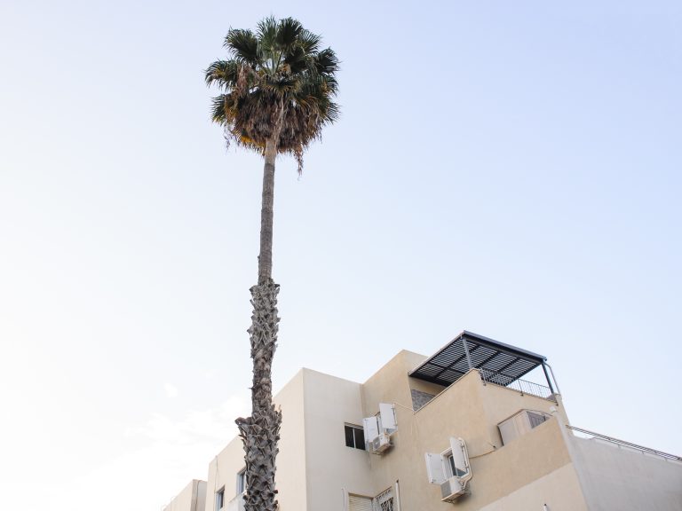 Street photo in Haifa, Israel by Alex Martinyuk