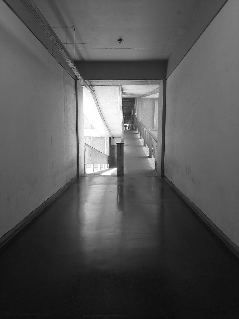 Photo by Maria Carolina Motta