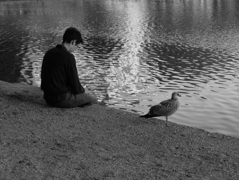 Street photo in Het Binnenhof, Netherlands by Chiara C.