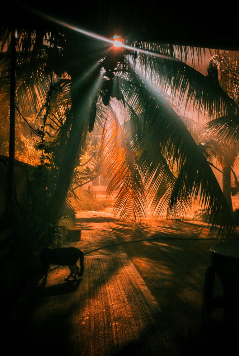 Street photo in Campeche, Mexico by Frensi Asnel Paz Reyes