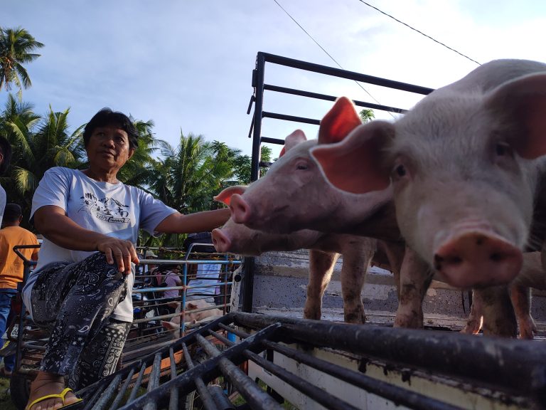 Street photo in Maluay, Philippines by Neil Ryan Famoso Saraña