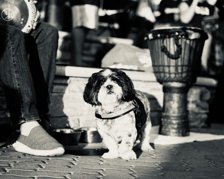 Street photo in Huntington Beach, United States by Seth Scarborough