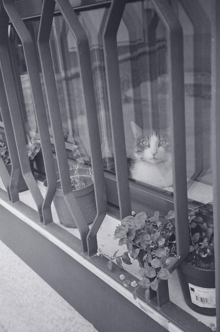 Photo by Isabella Uribe