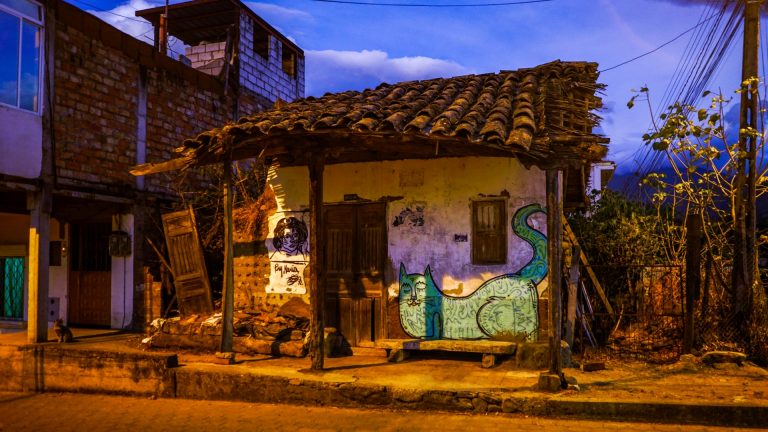 Street photo in Vilcabamba, Ecuador by William Bolton