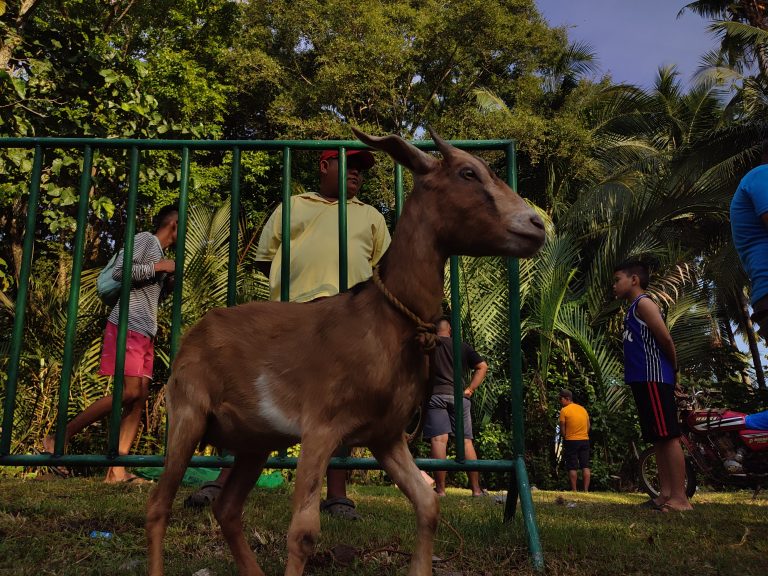 Street photo in Maluay, Philippines by Neil Ryan Famoso Saraña
