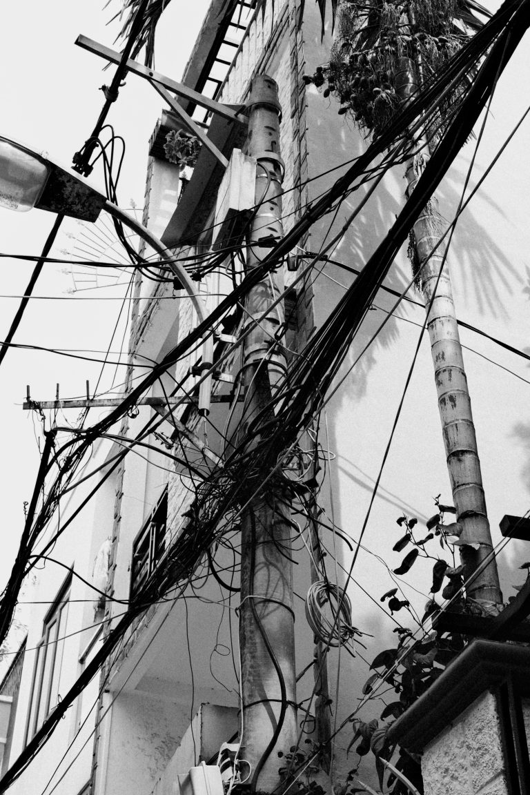 Photo by Duc Le