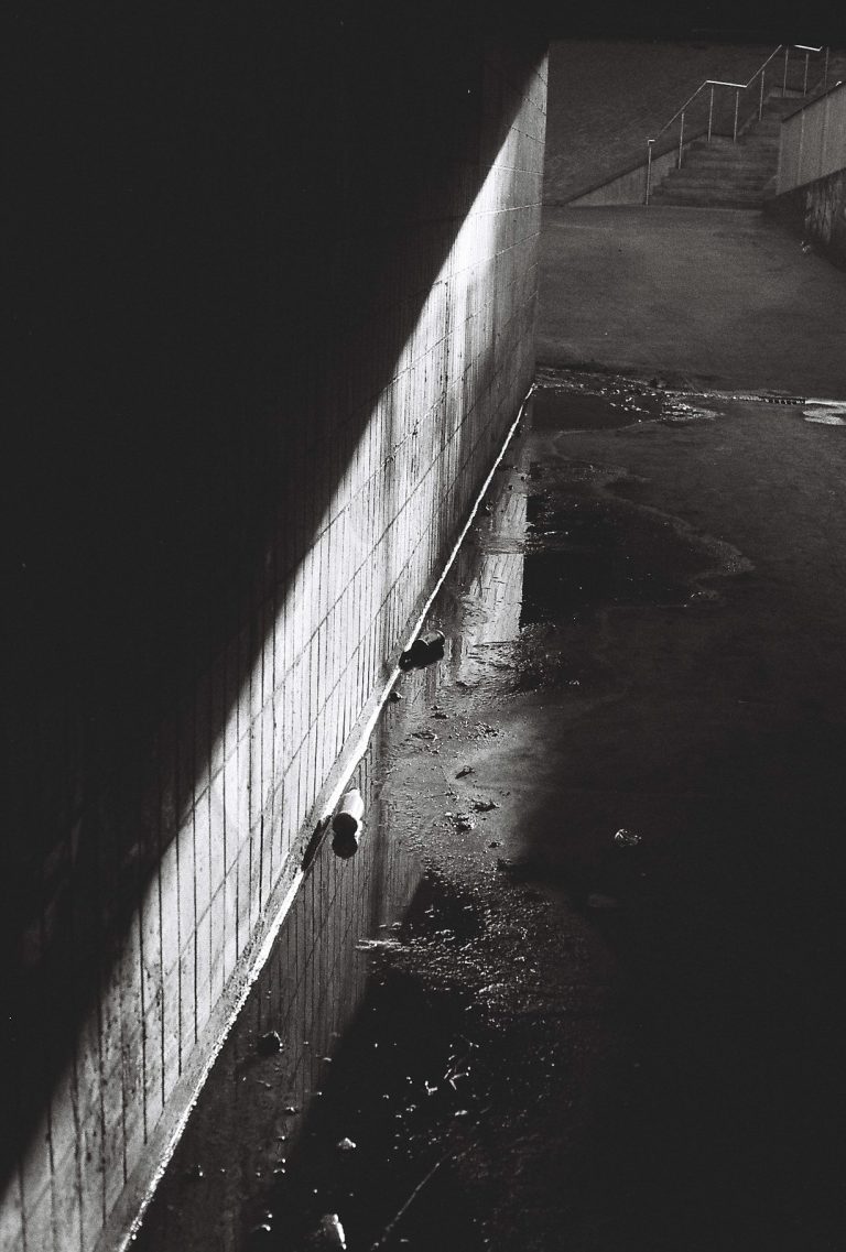 Photo by Flynn Willis-dunn