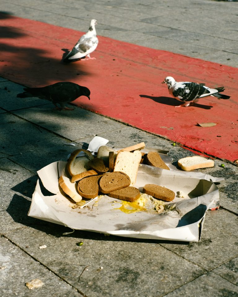Photo by Arina Gusakovskaya