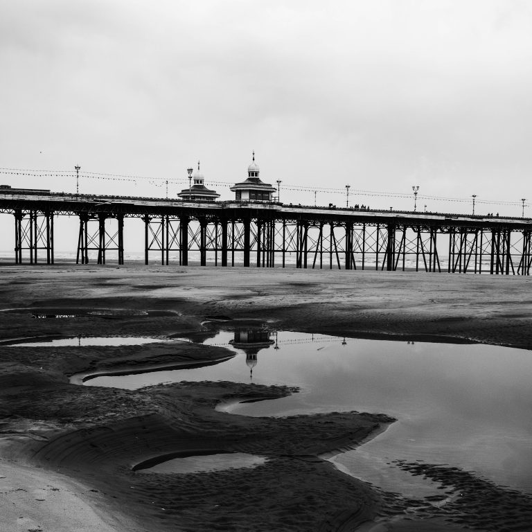Photo by Steve Spence