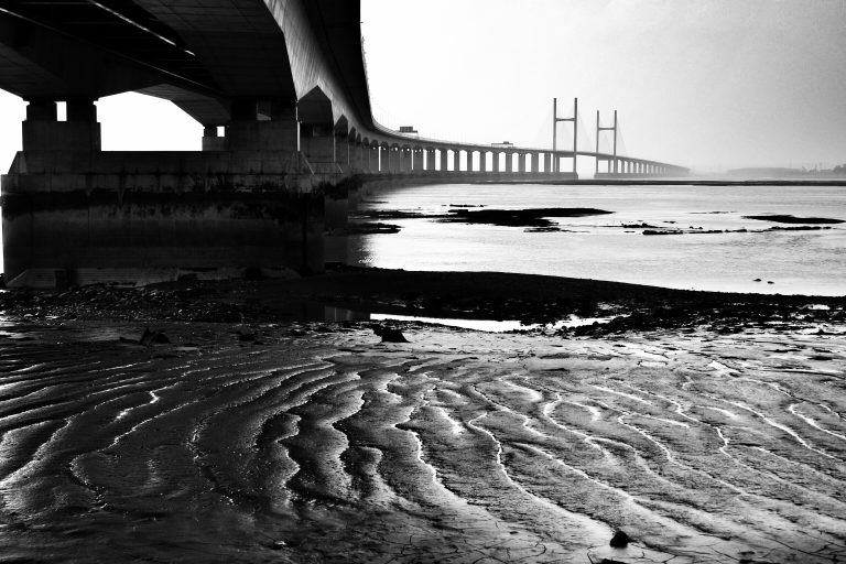 Photo by James Wood