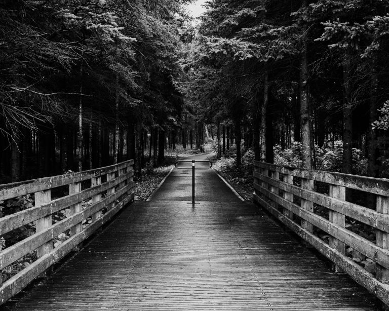 Street photo in Mont-Joli, Canada by Mylene Savard