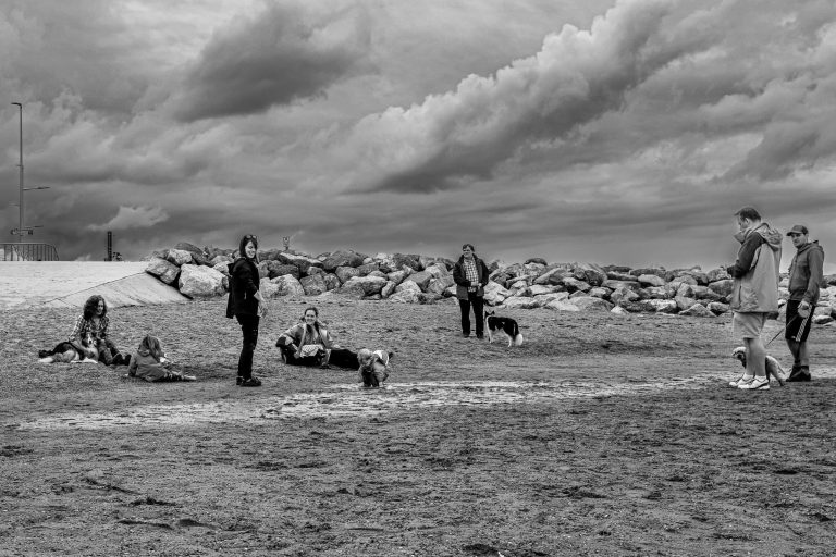 Photo by Michael Steptoe