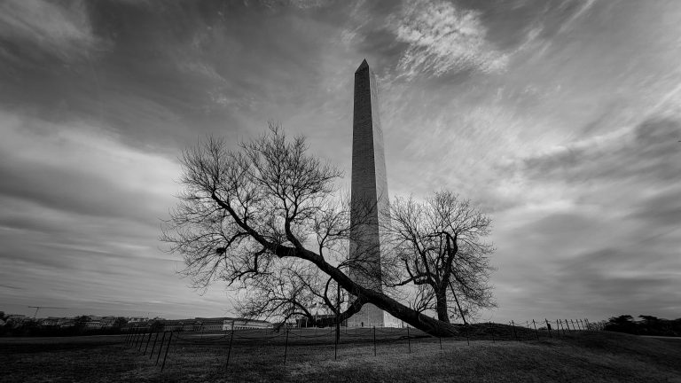 Street photo in Washington, United States by Kas Gad