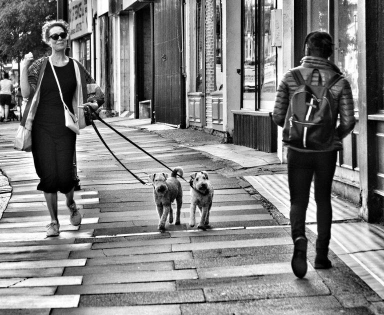 Photo by James Wood