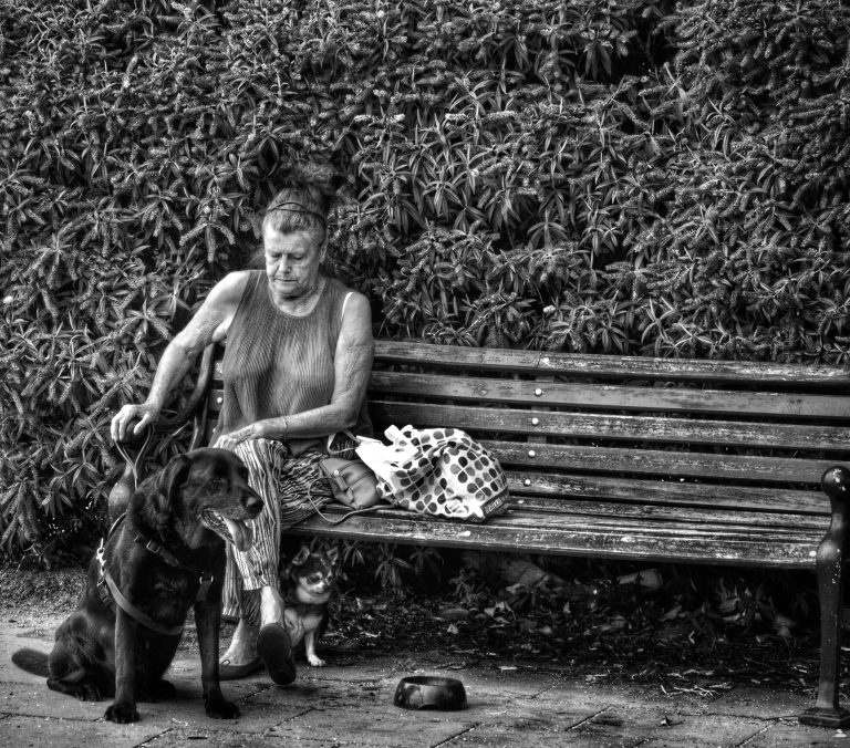 Photo by James Wood