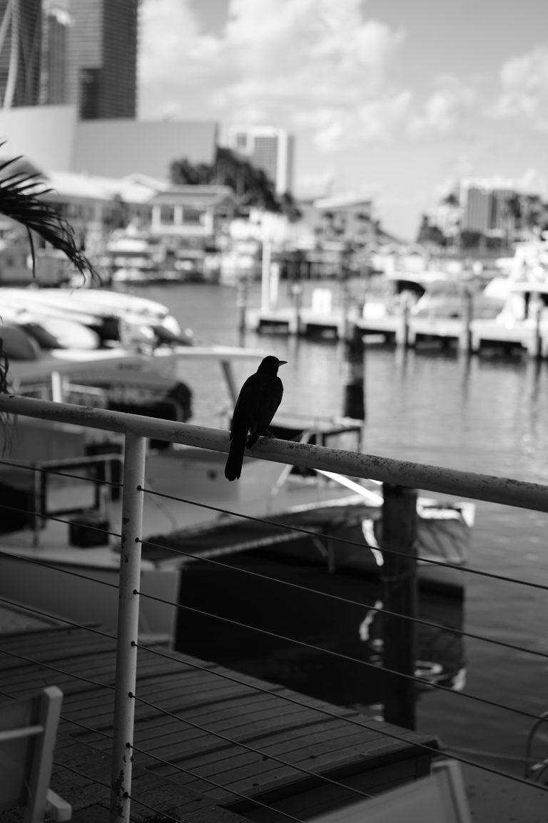 Photo by Robin Santamaria