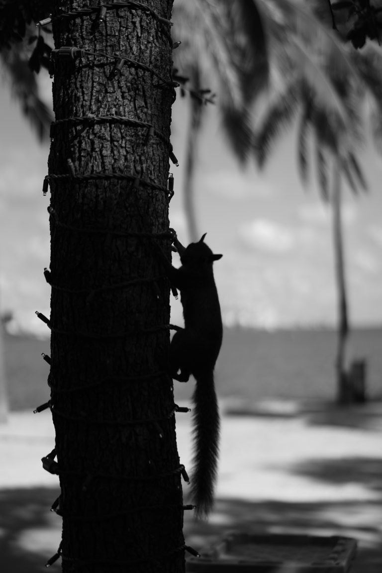 Photo by Robin Santamaria