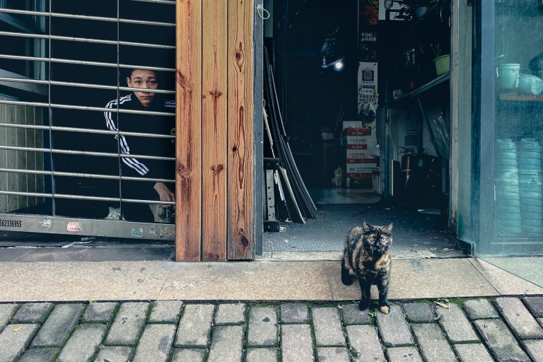Photo by Neo Wang