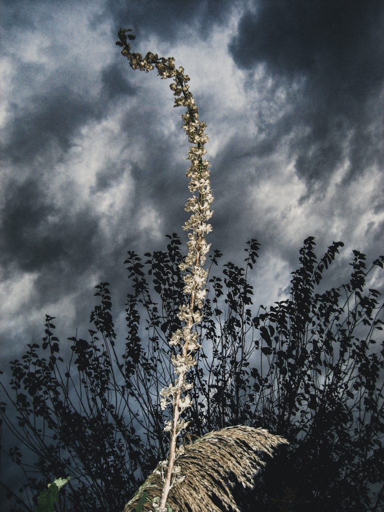 Photo by Svetoslav Ivanov