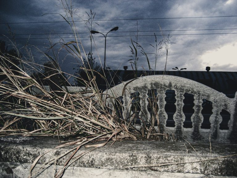 Photo by Svetoslav Ivanov