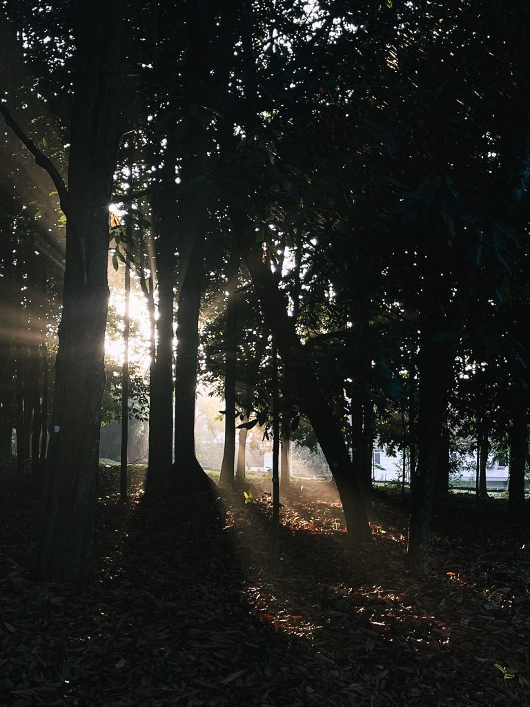Photo by Zhi Hoong Yeap