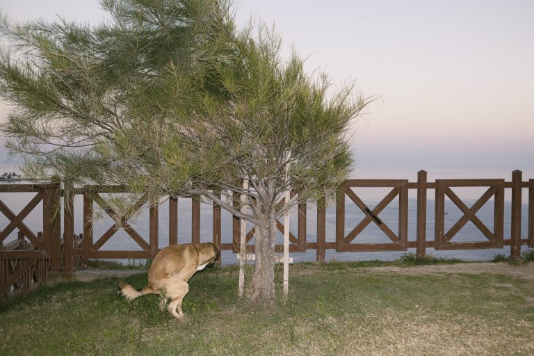 Street photo in Antalya, Turkey by Iz üstün