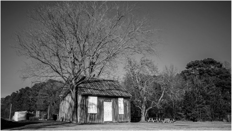Photo by Aurelio Torres Laster