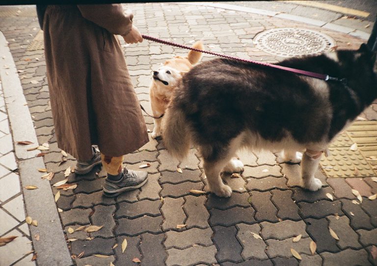 Photo by Bo-hjŏn Kim