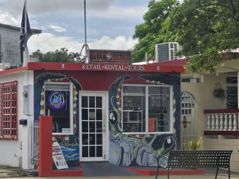 Street photo in Vieques, Puerto Rico by Pablo Cruz