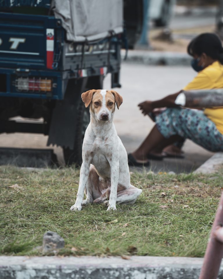 Street photo in Kawit, Philippines by Christopher Villasenor