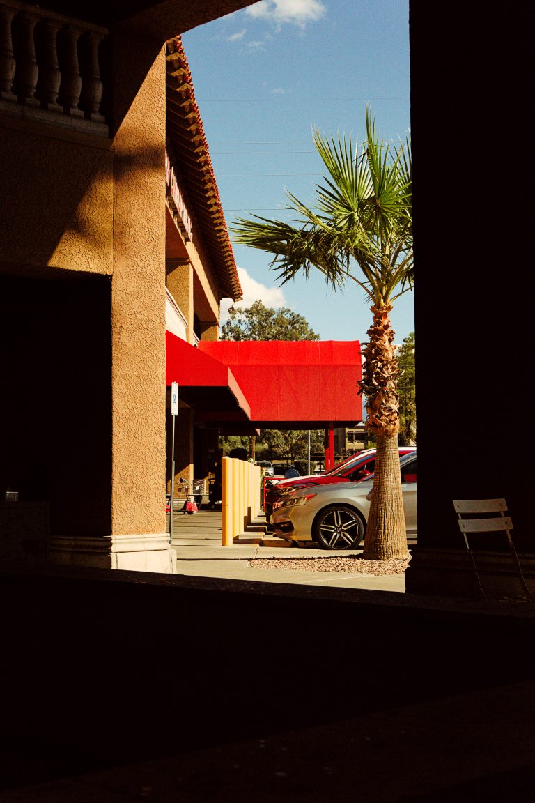 Photo by Wyatt Davis