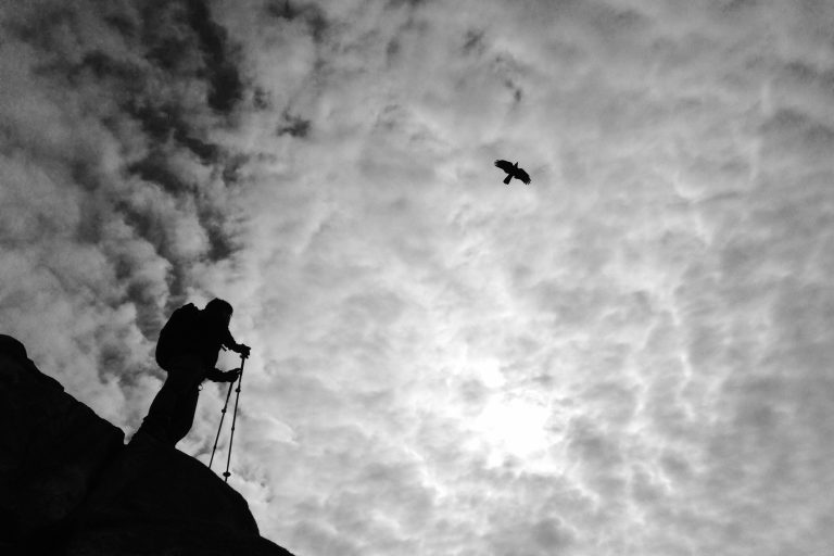 Photo by Rojin Park