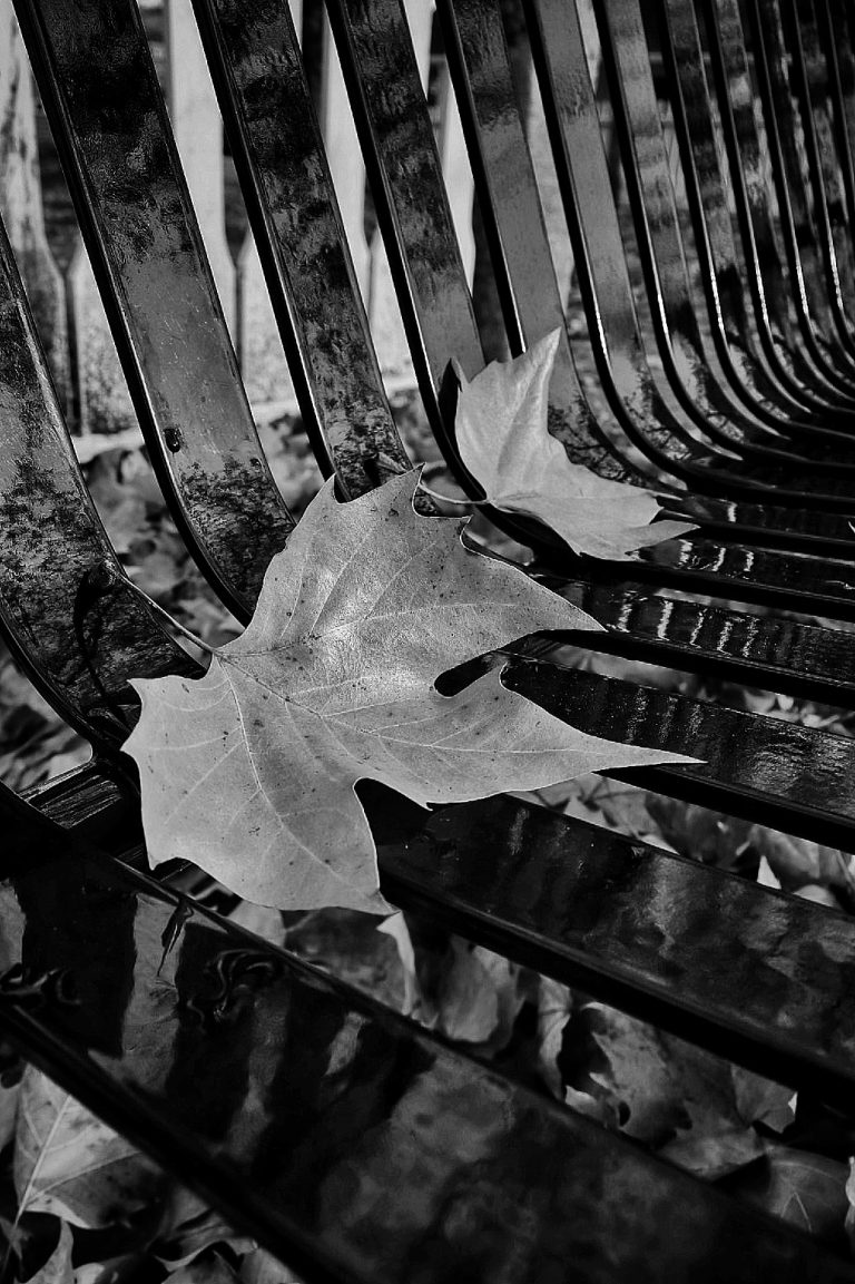 Street photo in Exeter, United States by Manuel Ricardo Pérez