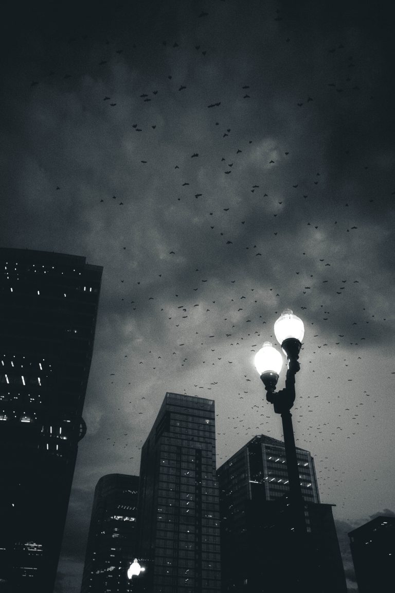 Street photo in Arlington, United States by David Logan