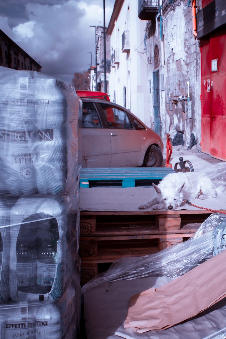 Photo by Andrea Cozzolino