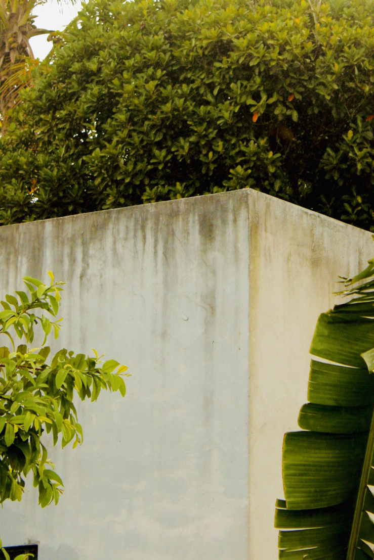 Street photo in Cabo de Santo Agostinho, Brazil by Bruno Ziiê