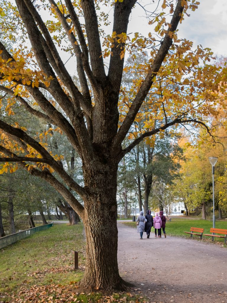 Street photo in Lahti, Finland by Denis Roche