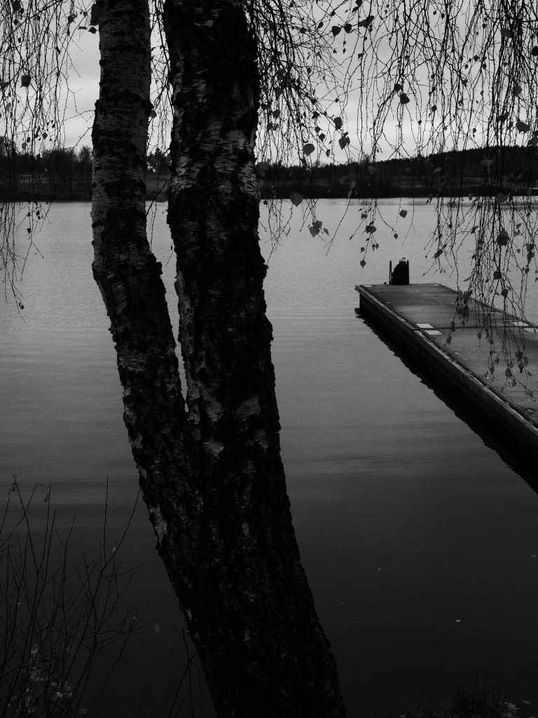 Street photo in Bogstad lake, Norway by Roham Rasai