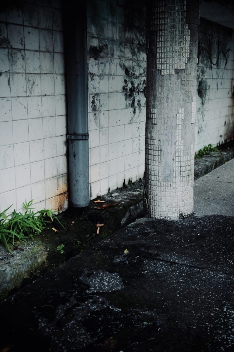 Photo by Cheng Lu_