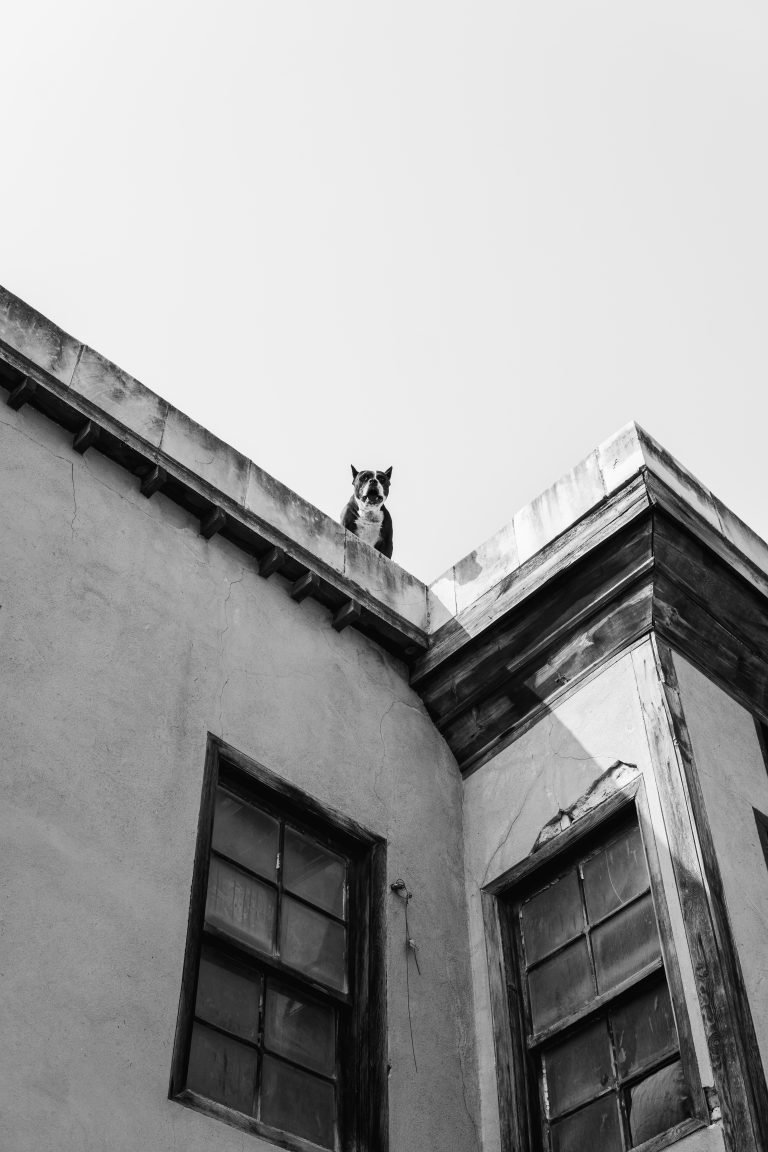 Street photo in Tarsus, Turkey by João Pinetree
